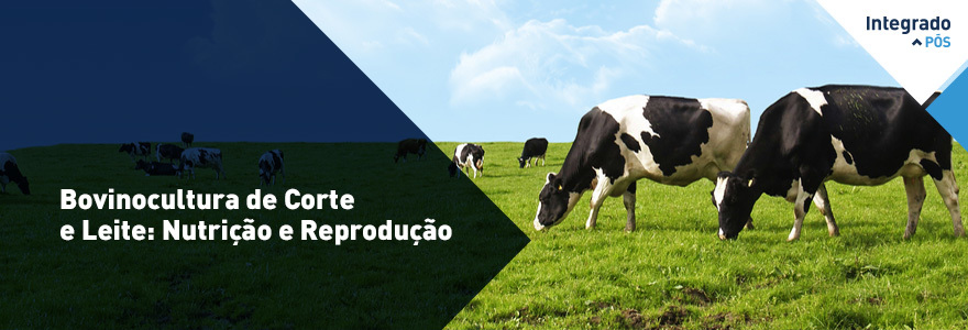 Cursos de Pós-Graduação