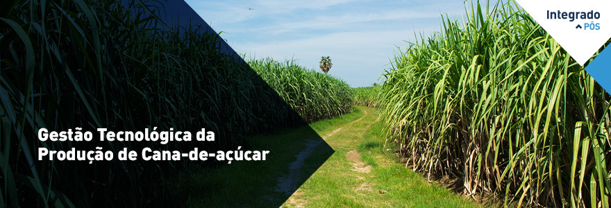 Cursos de Pós-Graduação