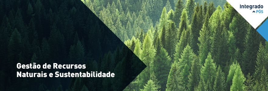 Cursos de Pós-Graduação