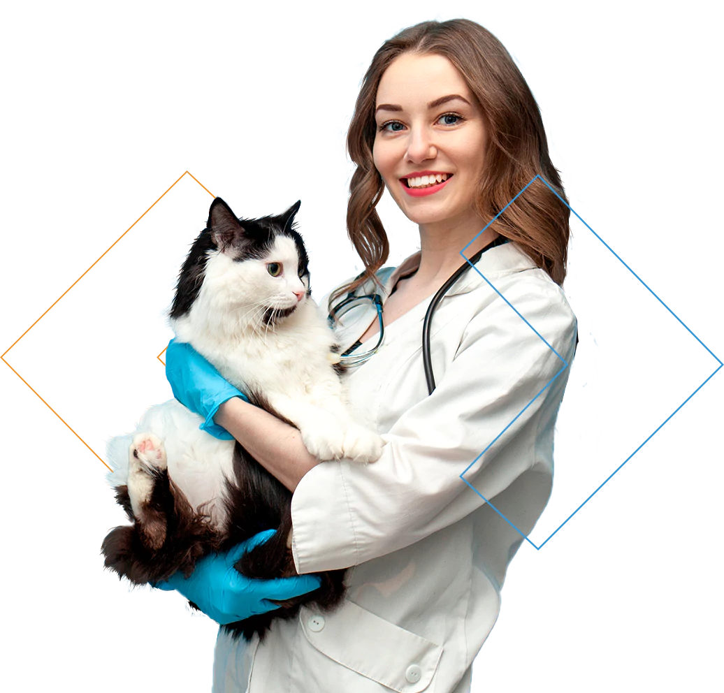 Clínica Médica de Cães e Gatos